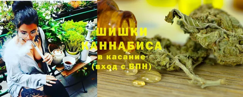 Бошки марихуана марихуана  продажа наркотиков  Ленск 